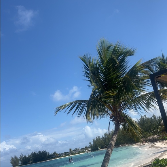 Meet your Posher, Emma - Picture 1 of 1